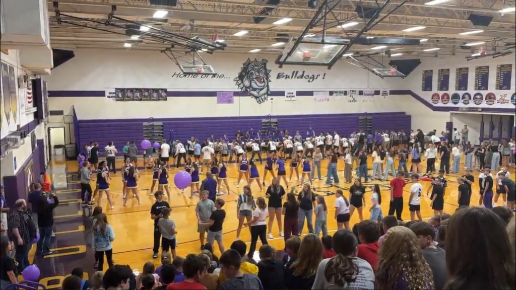 Large group of students standing on the gym floor in a straight line bumping a purple balloon down the line.