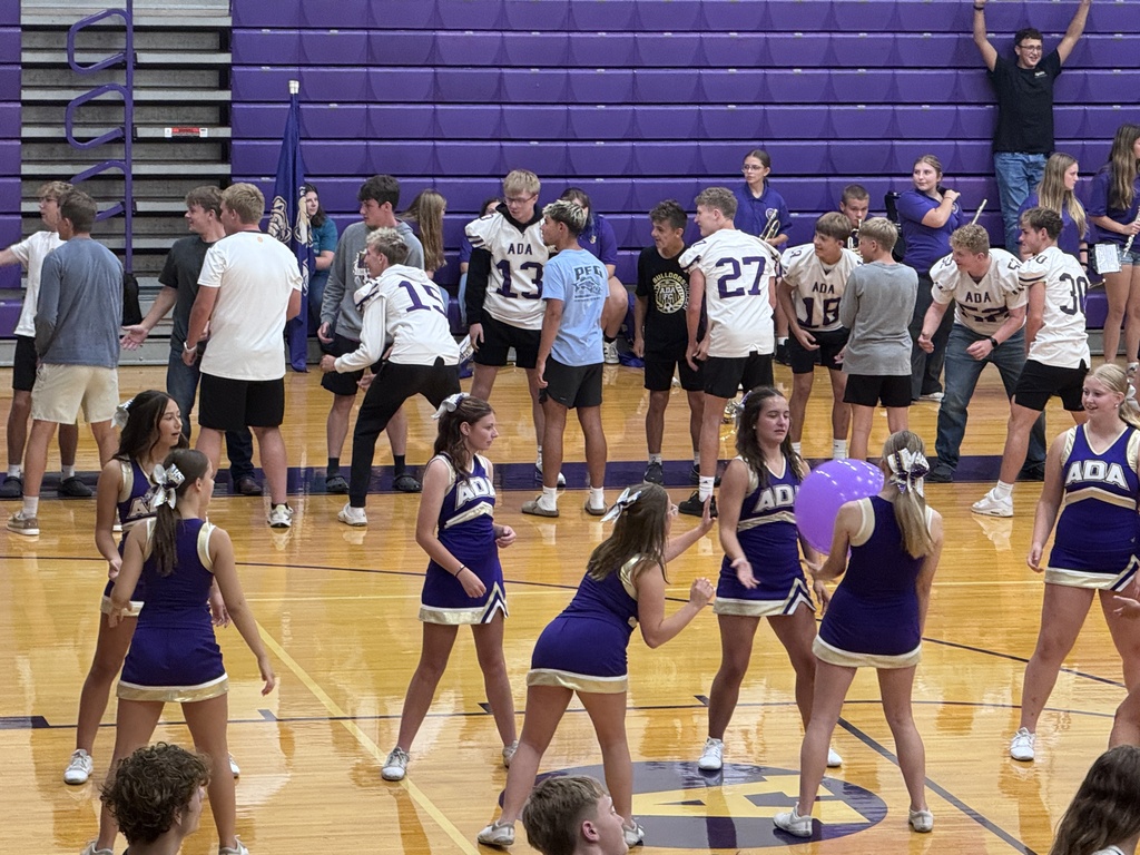 Large group of students standing on the gym floor in a straight line bumping a purple balloon down the line.