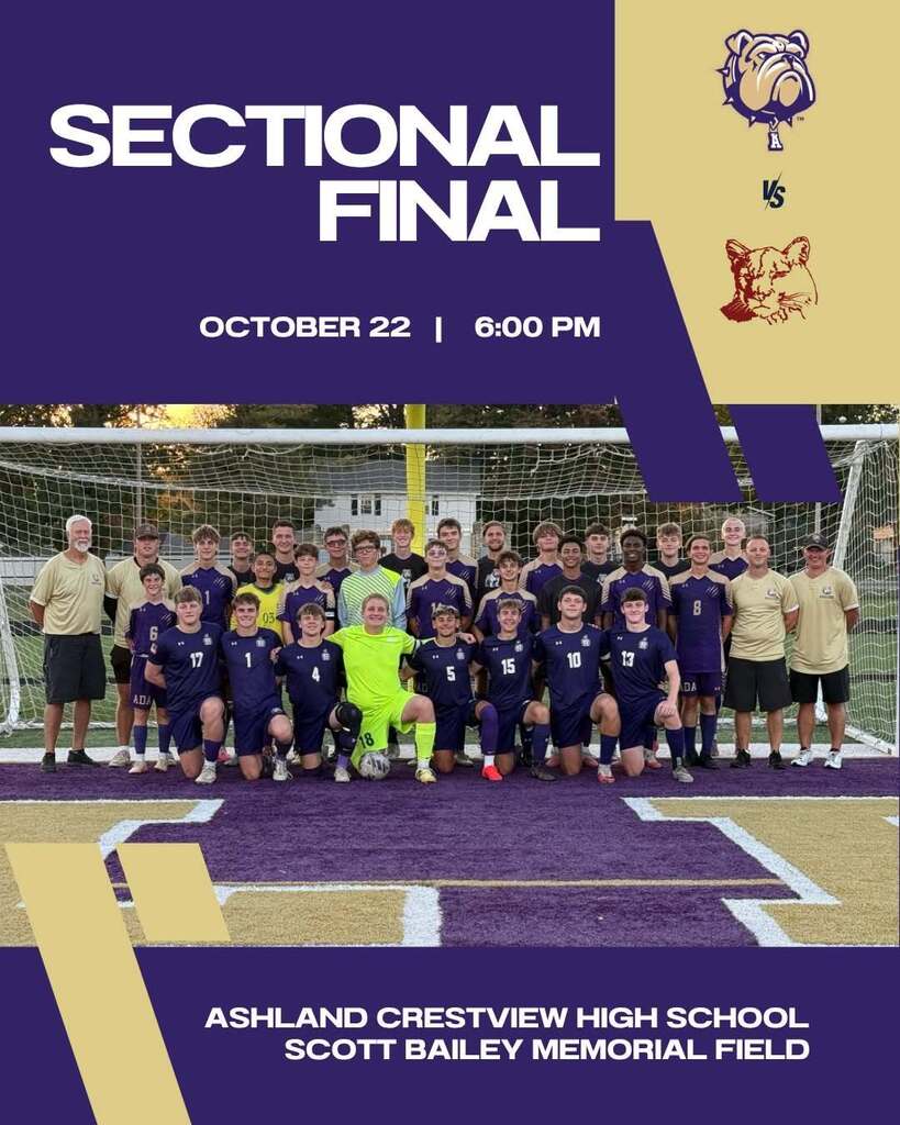 Purple and Gold graphic with a high school boys soccer team photos and white text