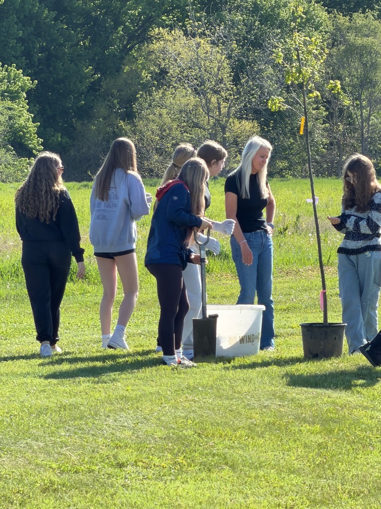 Planting a tree