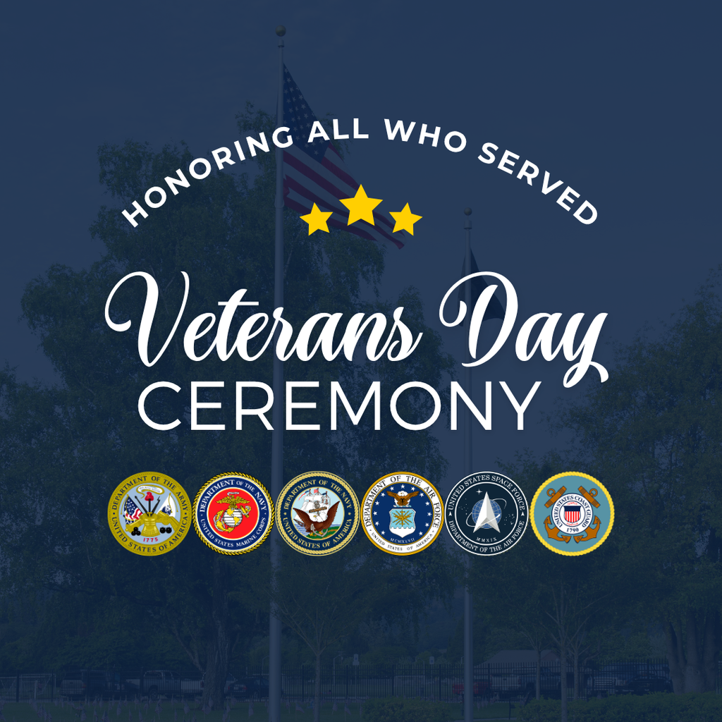 veterans day ceremony image