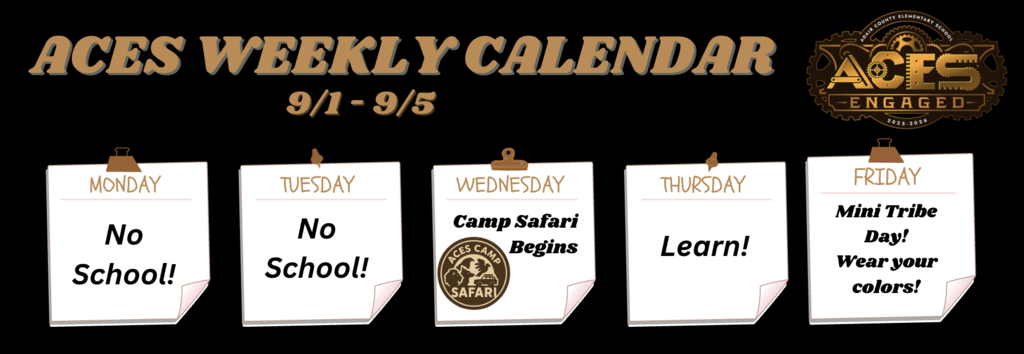 Weekly Schedule