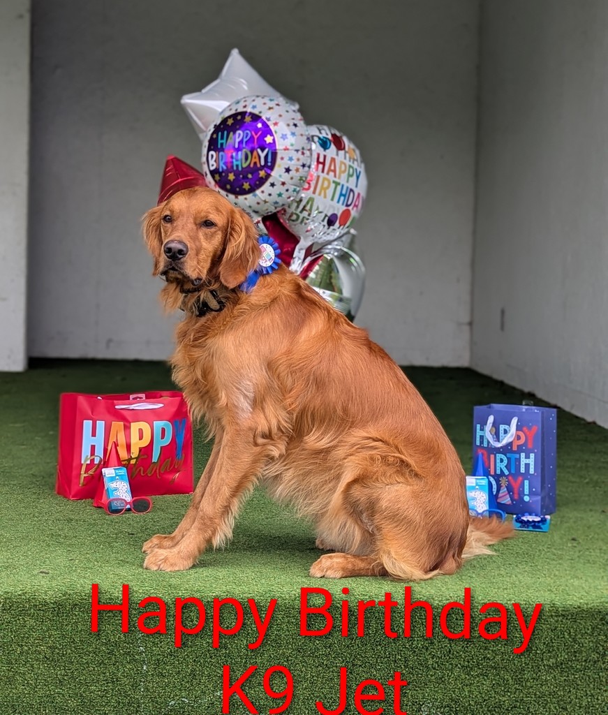 Jet's 3rd Birthday