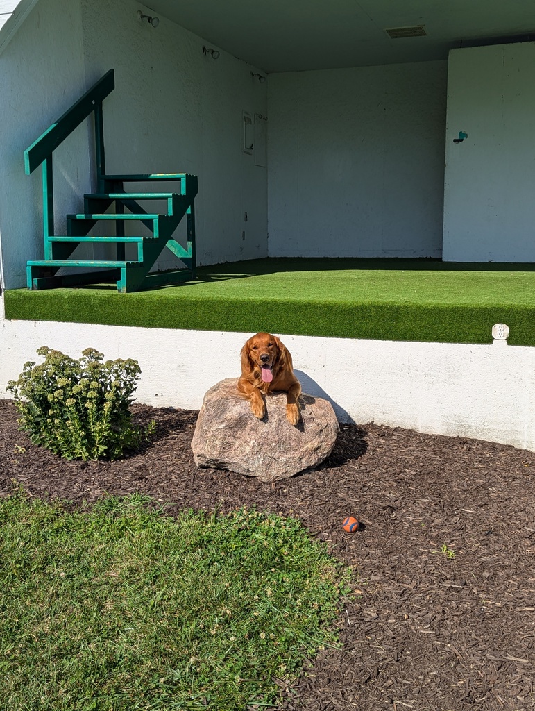 Jet's 3rd Birthday