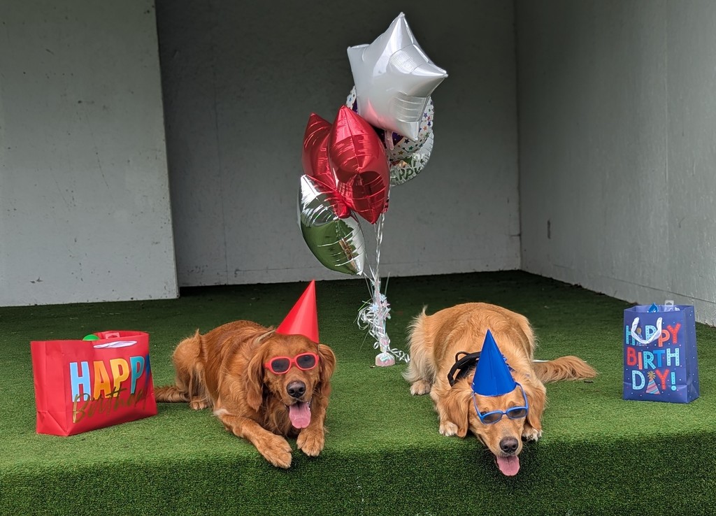 Jet's 3rd Birthday