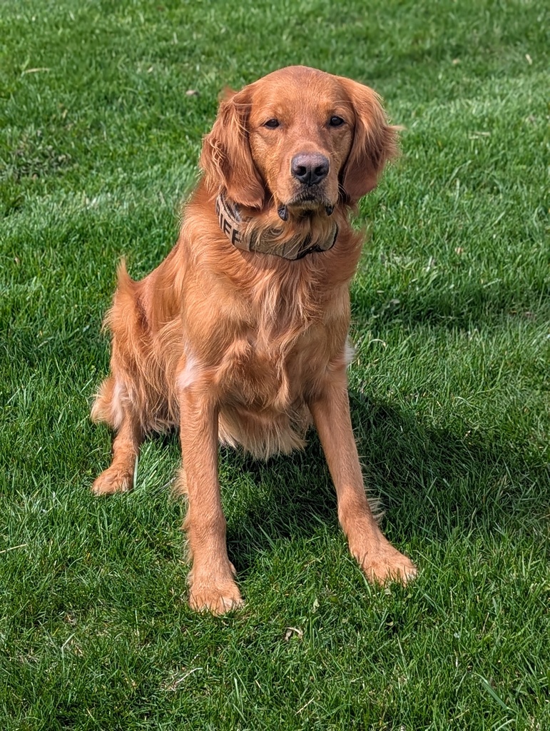 Jet's 3rd Birthday