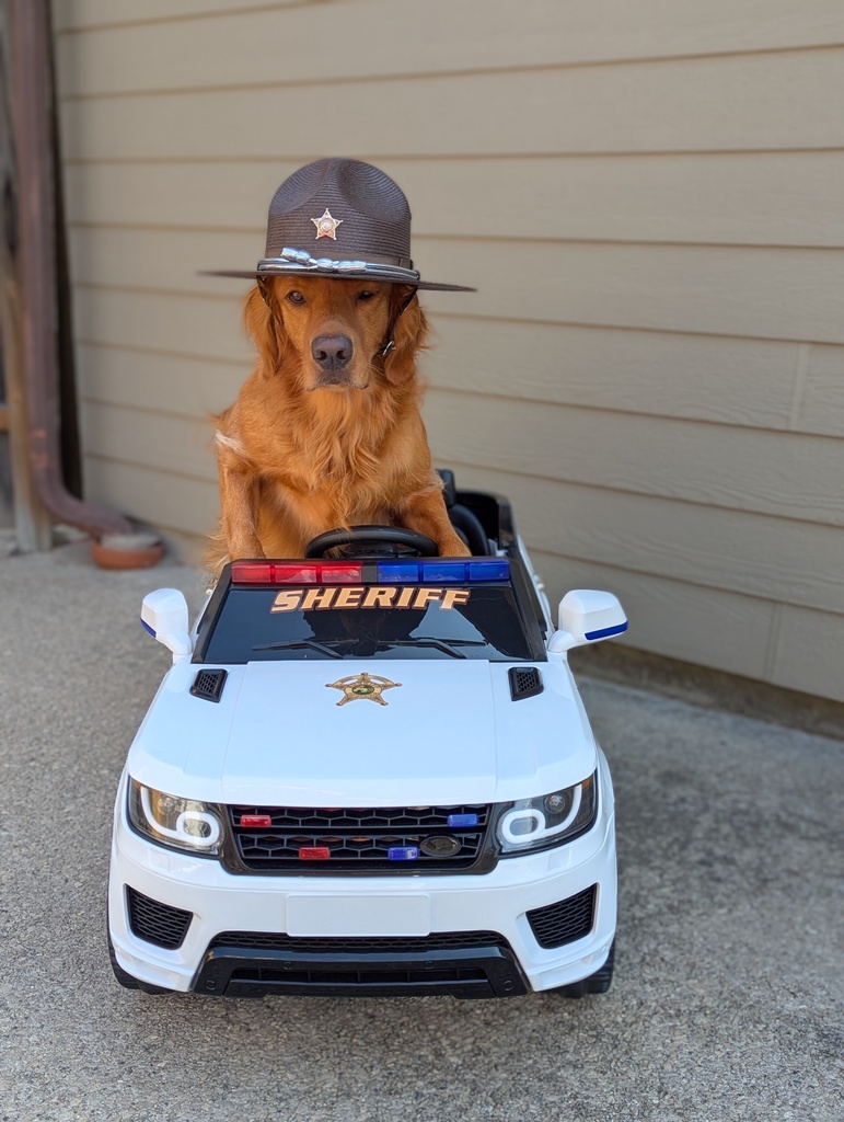 Jet's 3rd Birthday