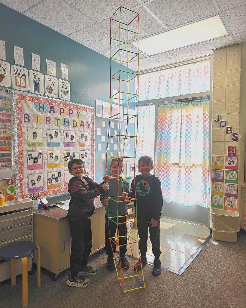 STEM Bins in Kindergarten