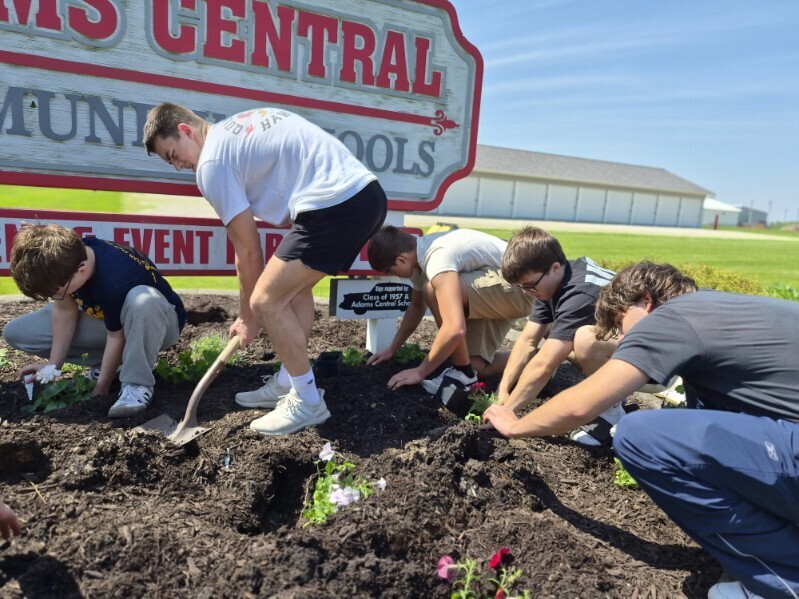 Landscaping for graduation