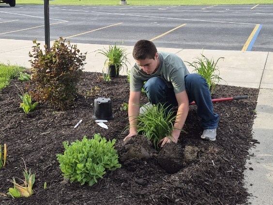 Landscaping for graduation