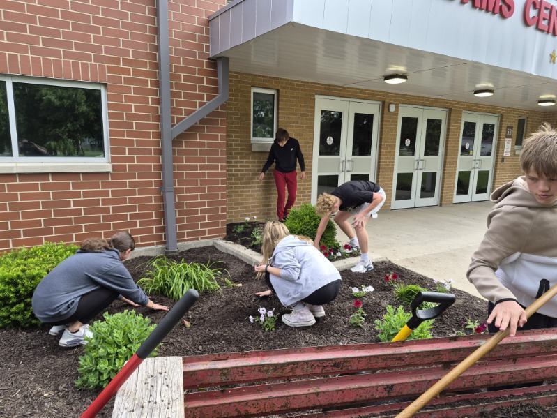 Landscaping for graduation
