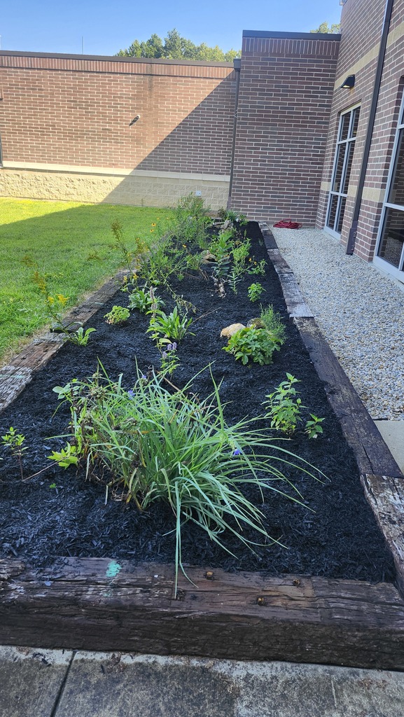 Outside Learning Area