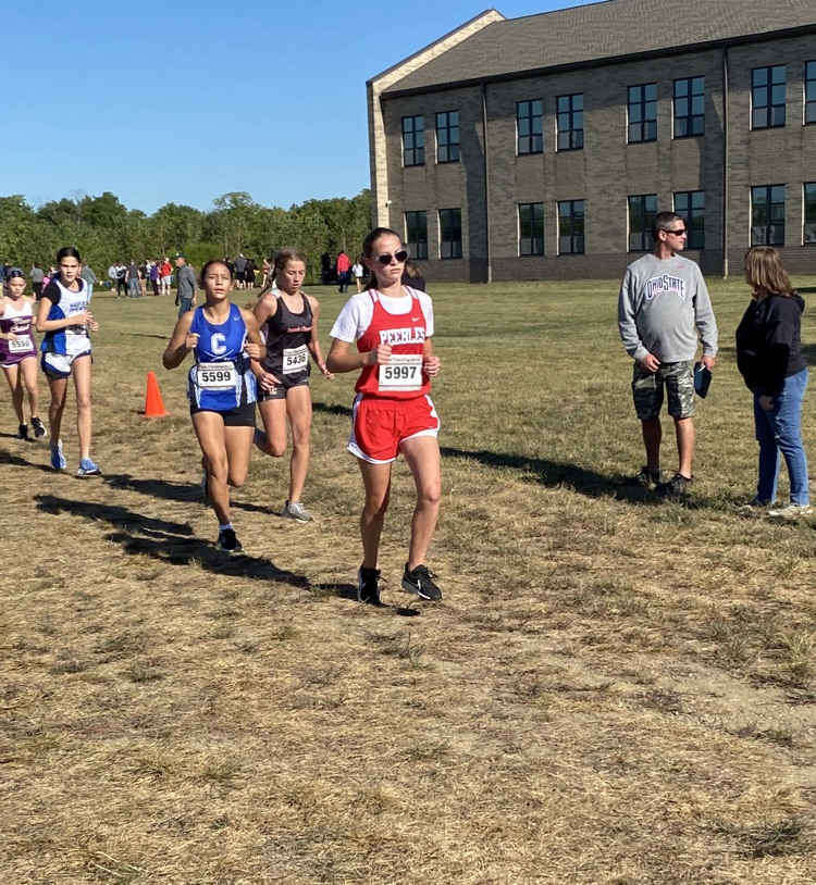 XC