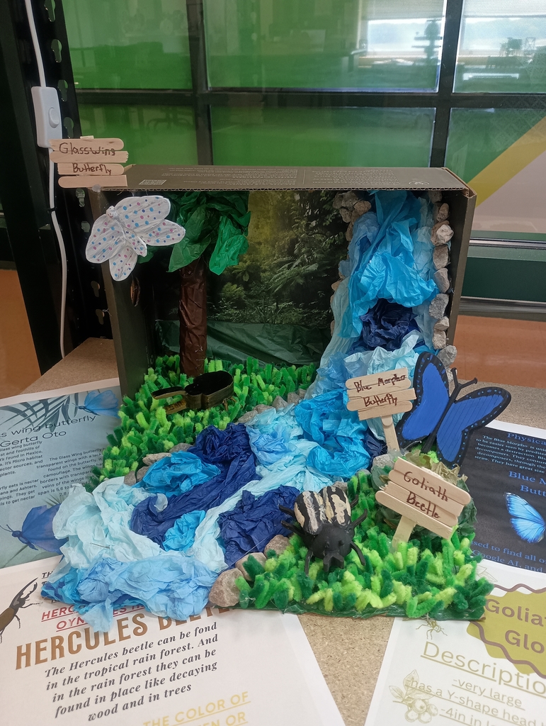 Diorama 2
