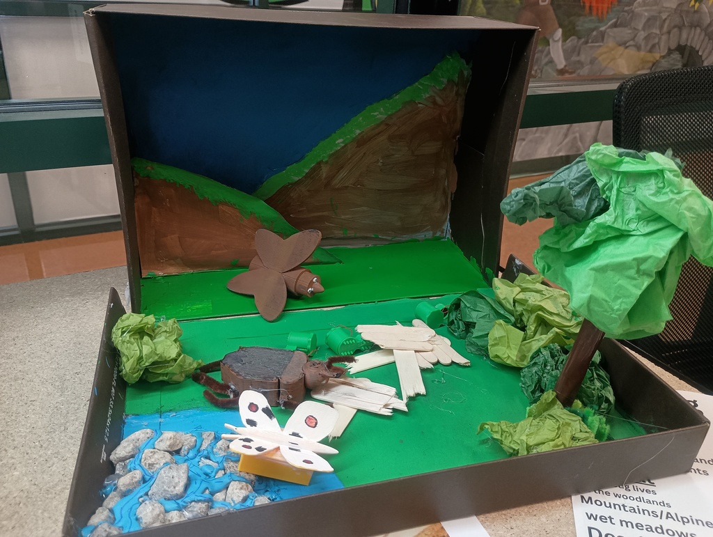Diorama 4