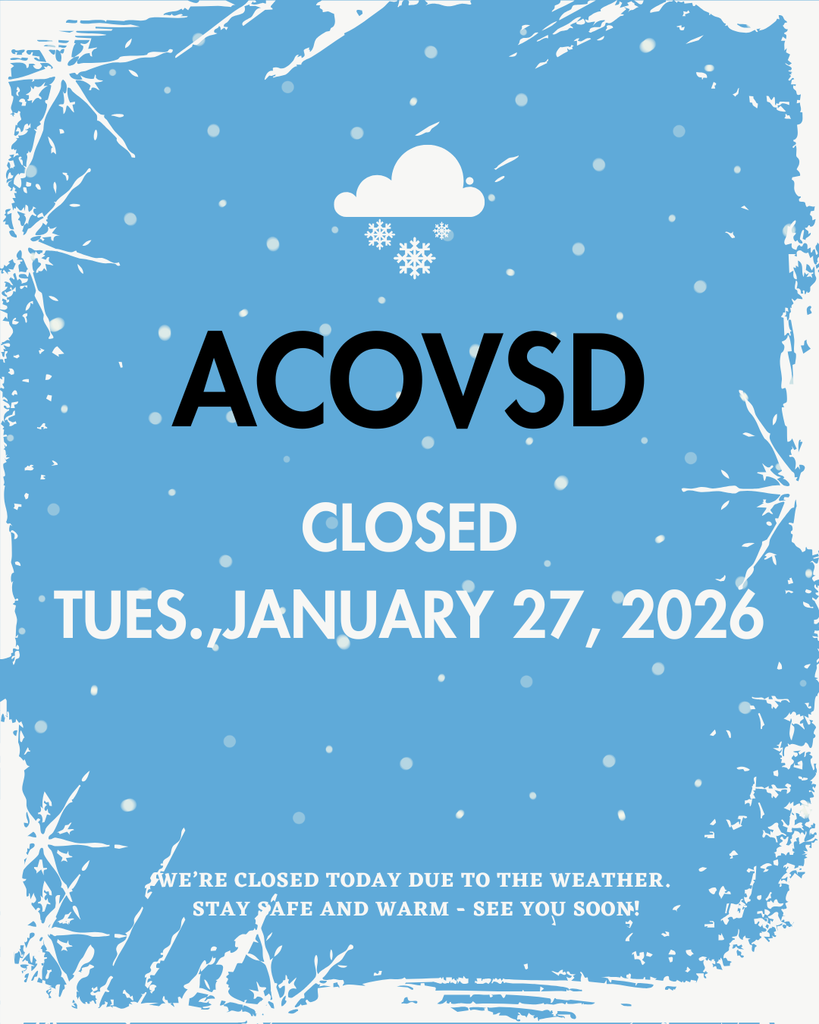 Blue White Minimalist Closed Due To Snow Weather Instagram Post (2)