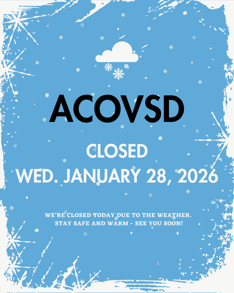 Blue White Minimalist Closed Due To Snow Weather Instagram Post (3)