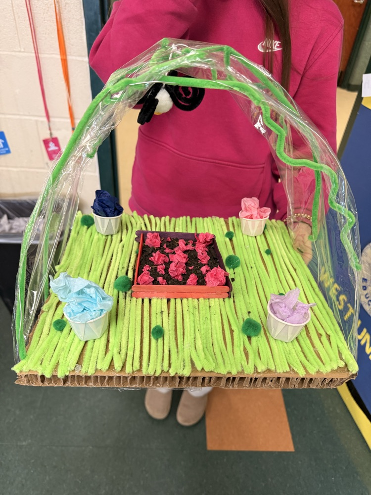 A closeup of a landscape project.