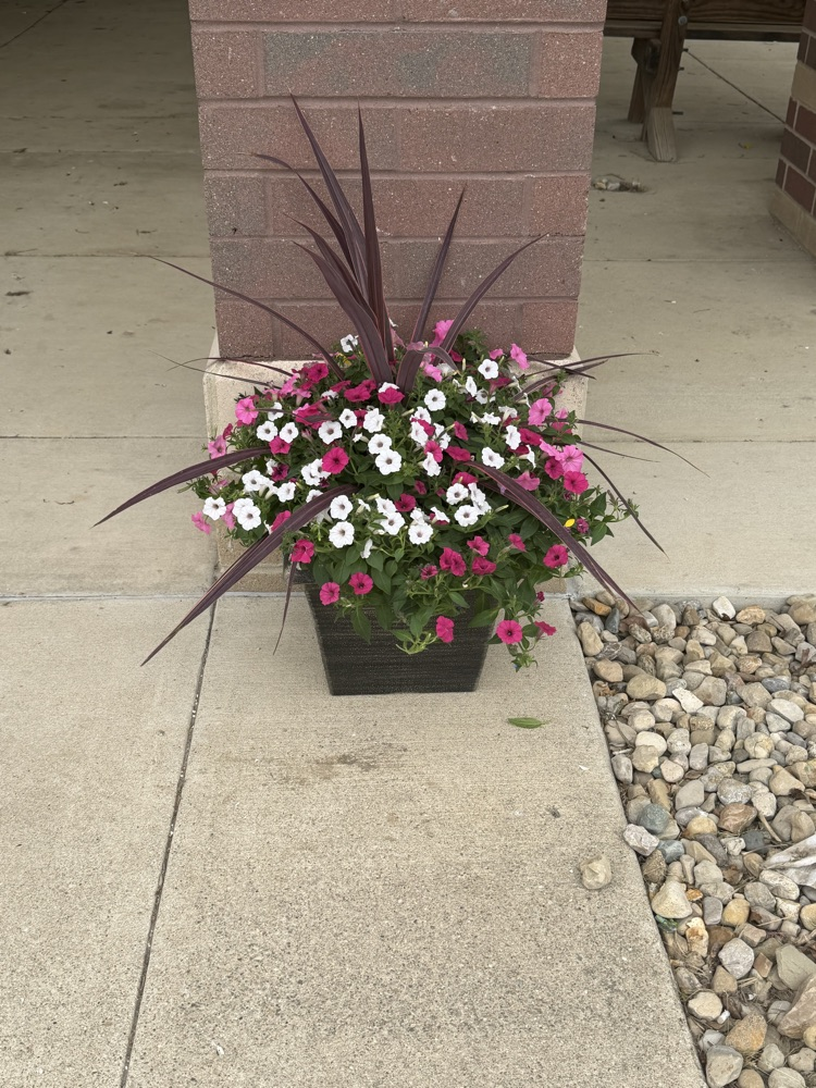 flowers