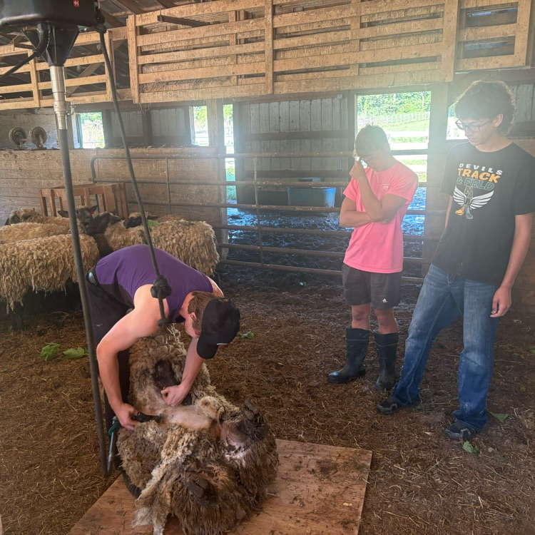 ag business 