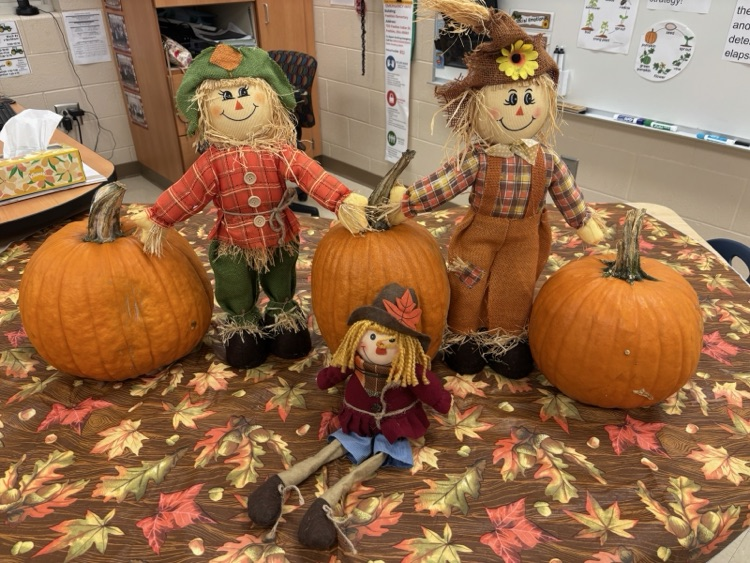 pumpkins
