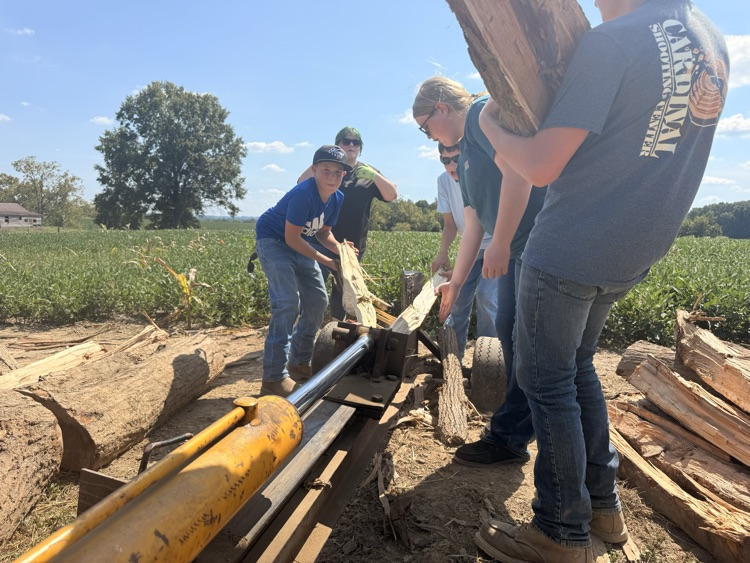 Students stacking fire wood.