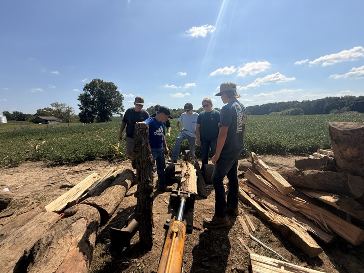 Students stacking fire wood.