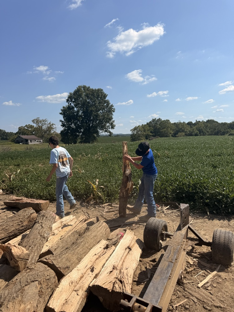 Students stacking fire wood.