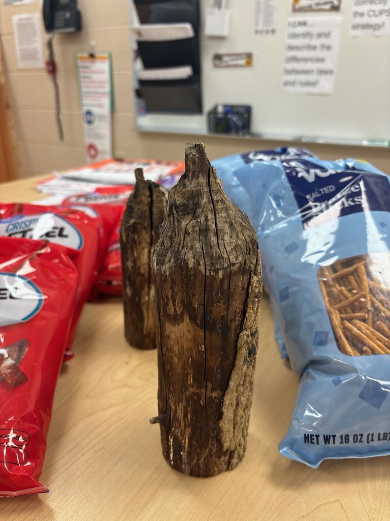 logs