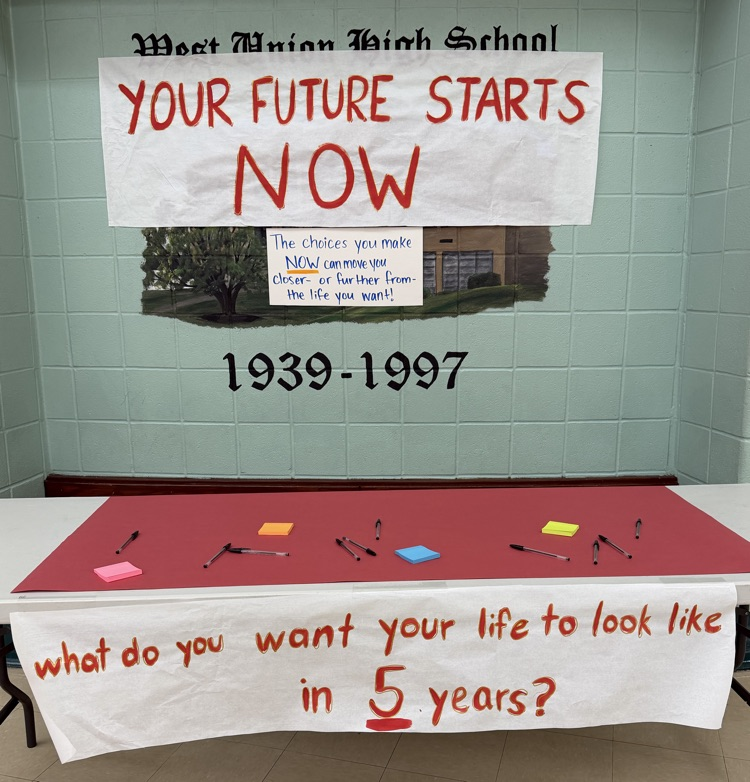 table set up