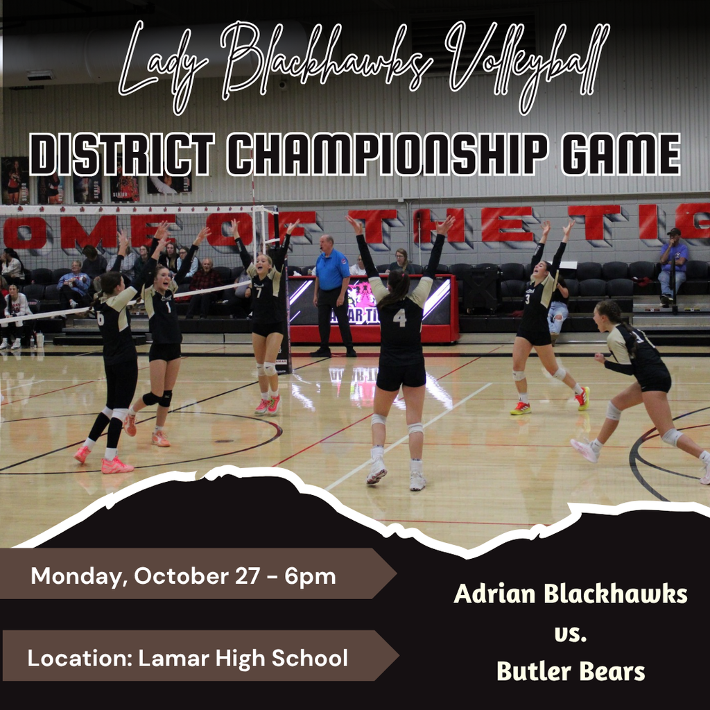 District Volleyball