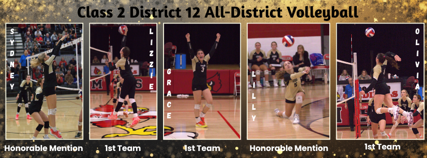 All-District VB