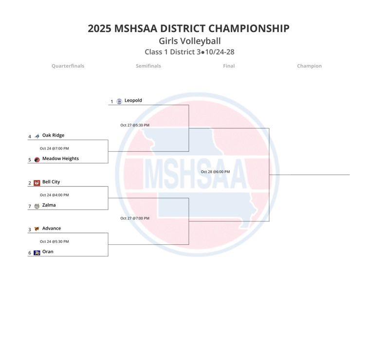 district volleyball bracket 