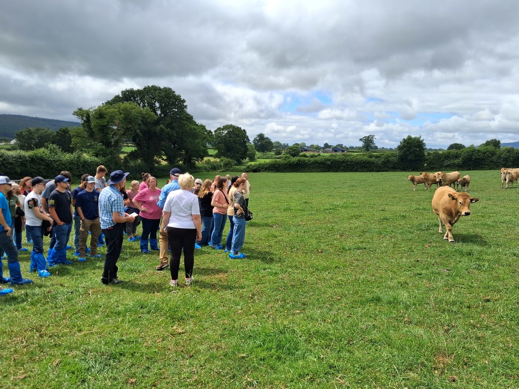 Aubrac