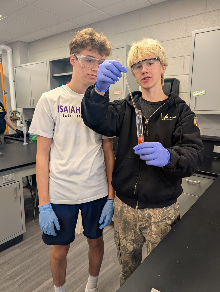 two boys looking at their test tubes