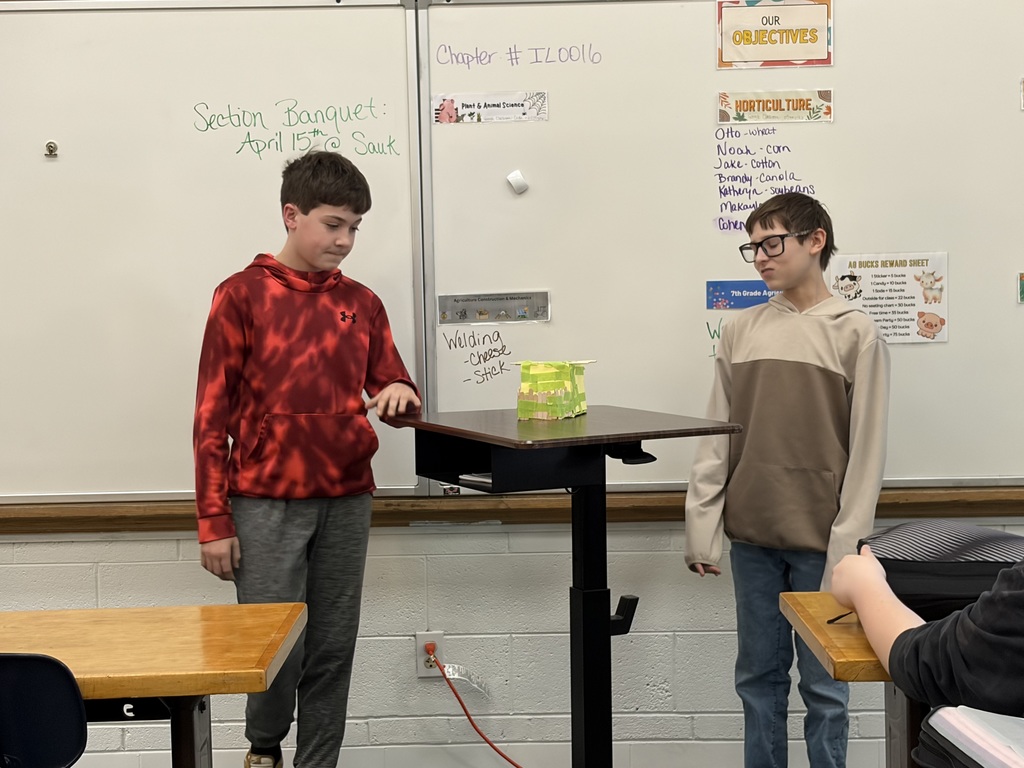 two male students presenting at front of class