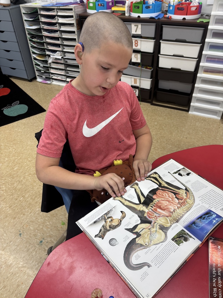 male student reading a book on the skeleton of an elephant