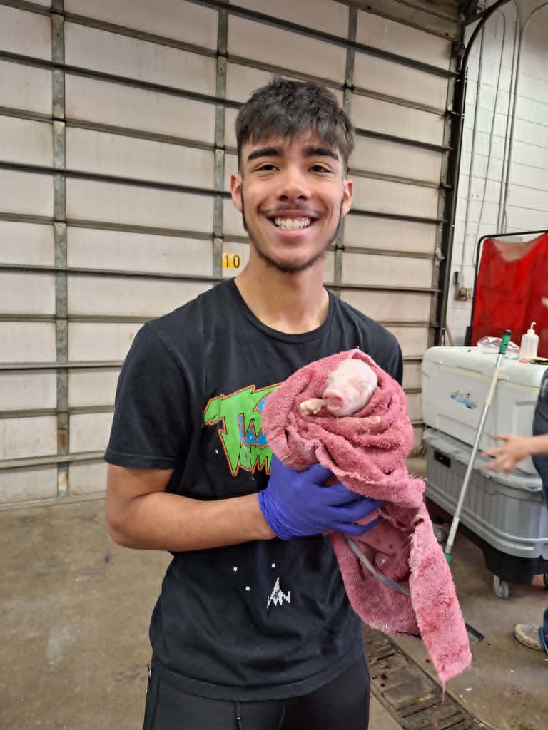 student holding baby pig