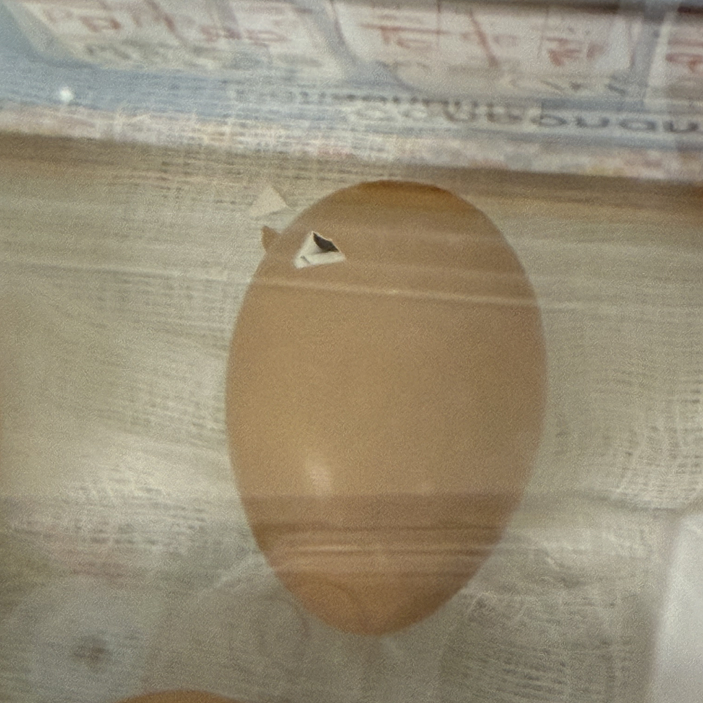Egg starting to crack