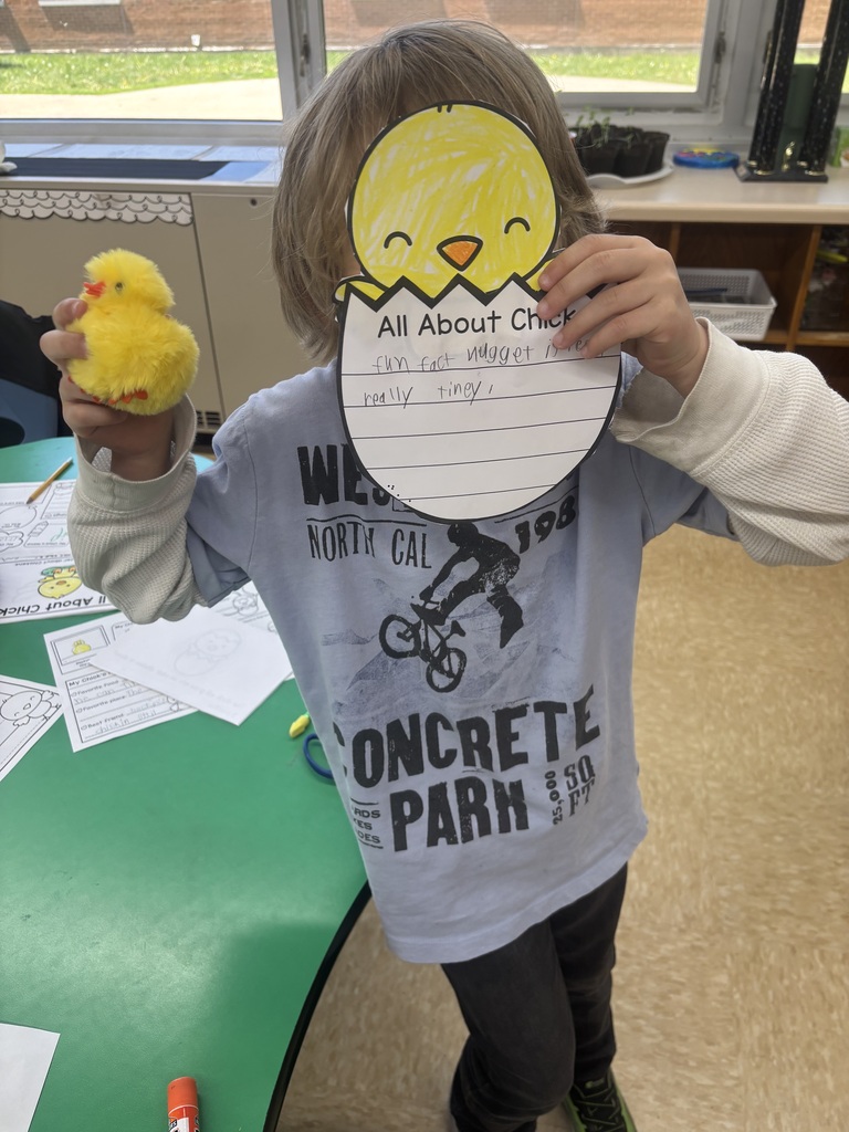 student holding up "All about Chicks" report