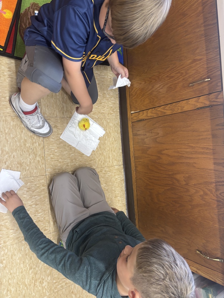 two students on the ground playing with the chicks