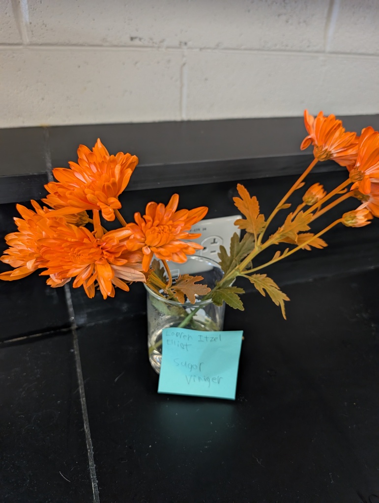 orange flowers