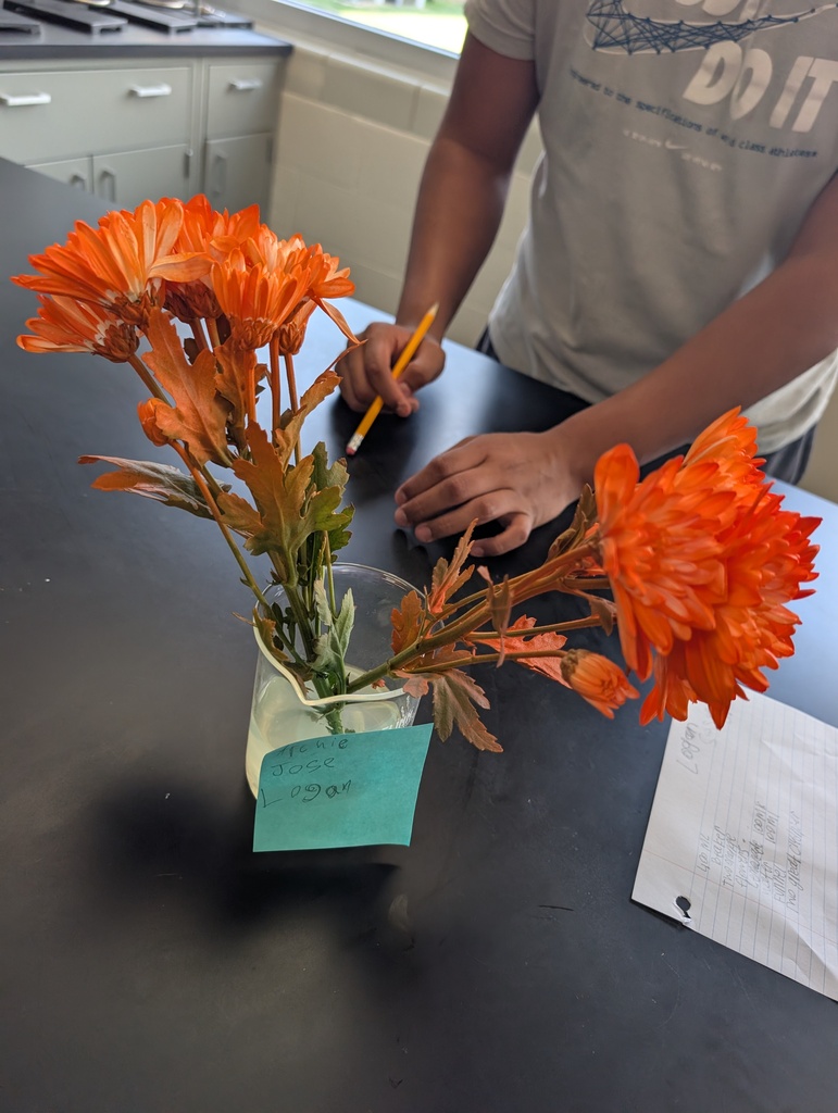 orange flowers