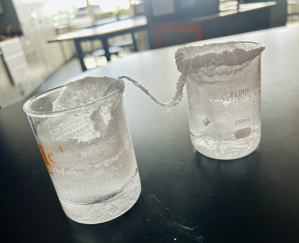 science experiment