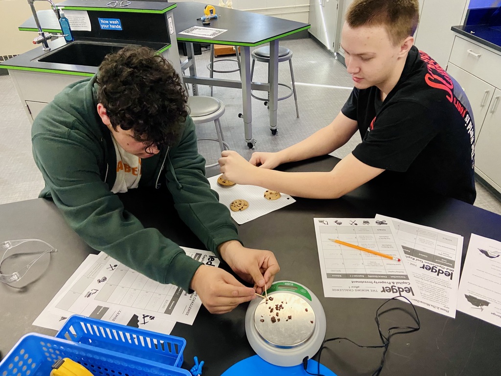 students working together on science experiment