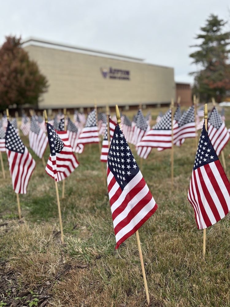 Image of a flag in Affton High School lawn