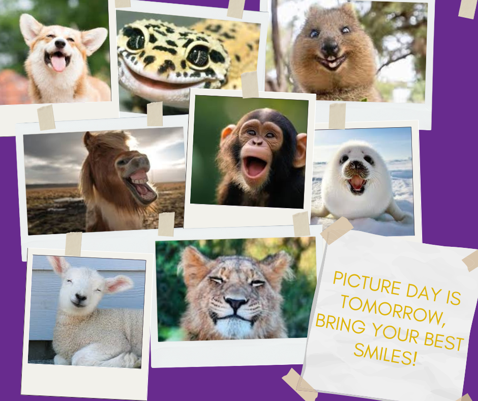 picture day is tomorrow, bring your best smiles!