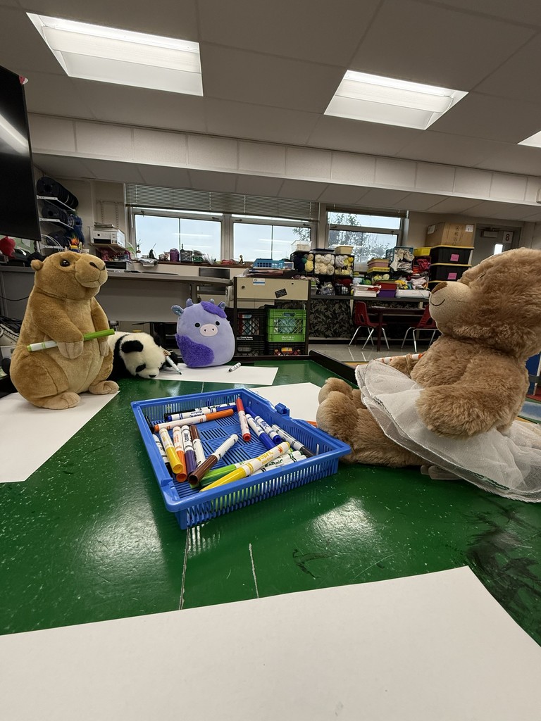 Stuffy Sleepover