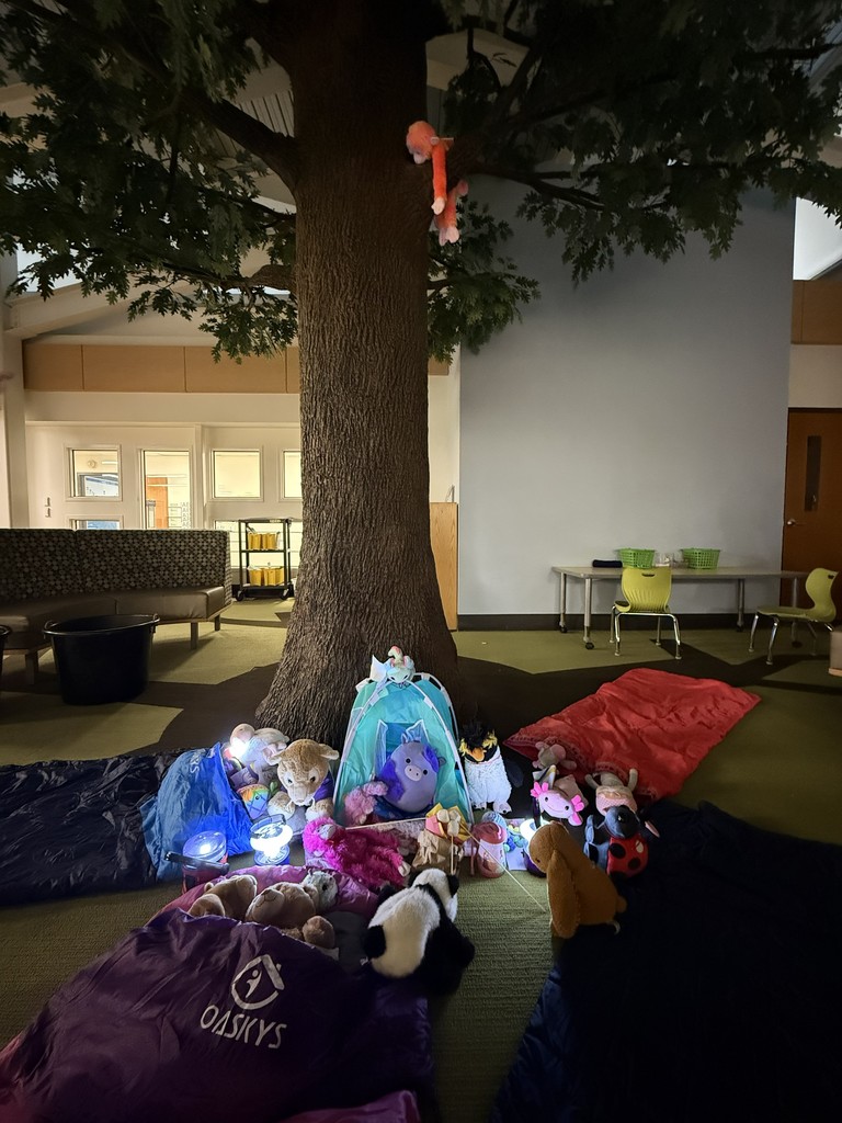 Stuffy Sleepover