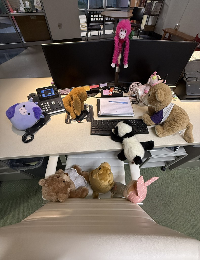 Stuffy Sleepover